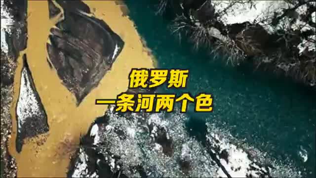 俄罗斯一河呈两颜色  清浊分明不相融合 