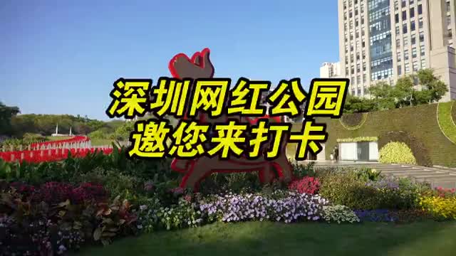 深圳人的专属过年姿势是逛公园