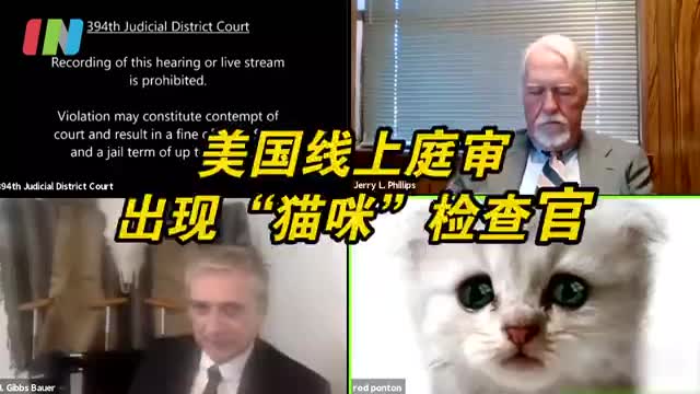 美国线上庭审出现猫咪检察官 