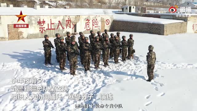 神犬奇兵！新疆武警人犬协同捕歼演练 