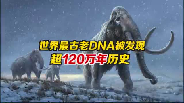 120万岁的DNA，猛犸象化石提取出最古老DNA序列