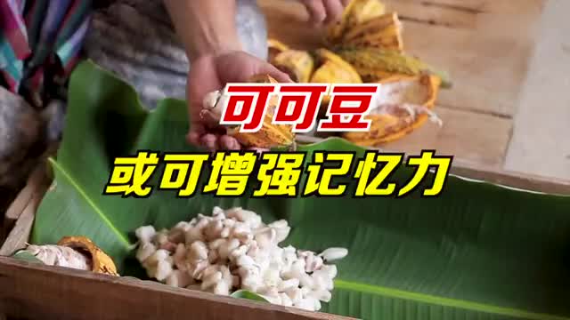 可可豆或可增强老年人记忆力 