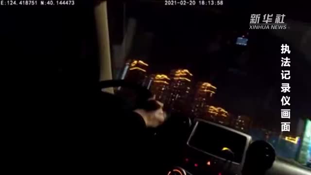 辽宁丹东一公园惊现白狐
