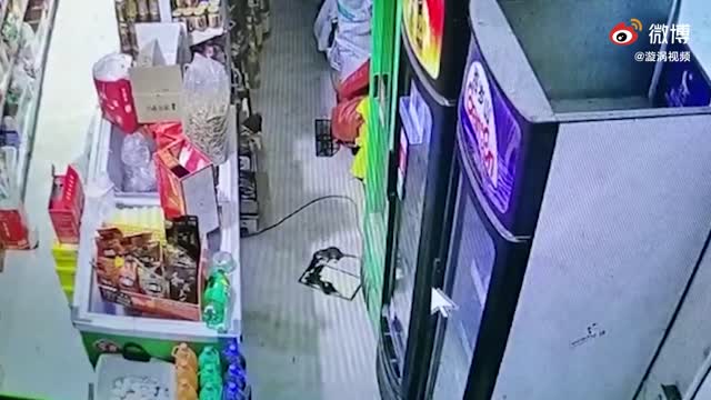 5只小老鼠被困粘鼠板鼠妈妈冒险解救