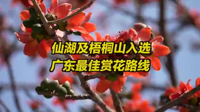 仙湖植物园和梧桐山入选广东最佳赏花路线