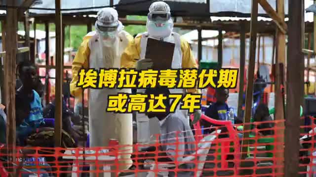 埃博拉病毒潜伏期或高达7年