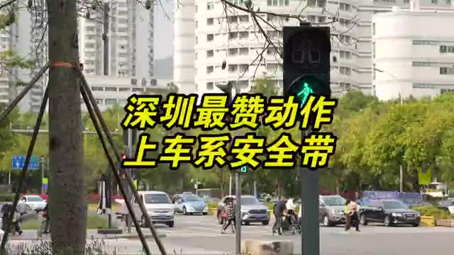“上车就系安全带”是什么操作？深圳人都懂的！