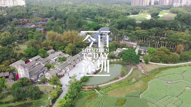 IN视频｜观澜版画村，城市的文化灵魂