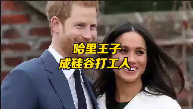 哈里王子成硅谷打工人 第一份工作找了初创公司