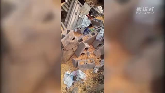 云南宁洱17头野象进村搞破坏 当地加强监测预警