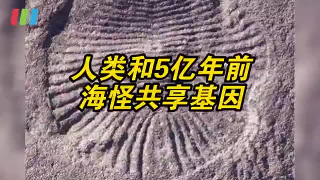 人类和5亿年前海怪共享基因