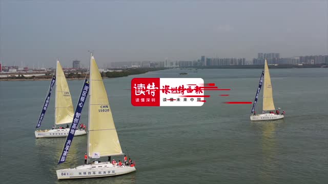 逐浪宝安杯！帆船邀请赛赋能海上运动活力新高地！