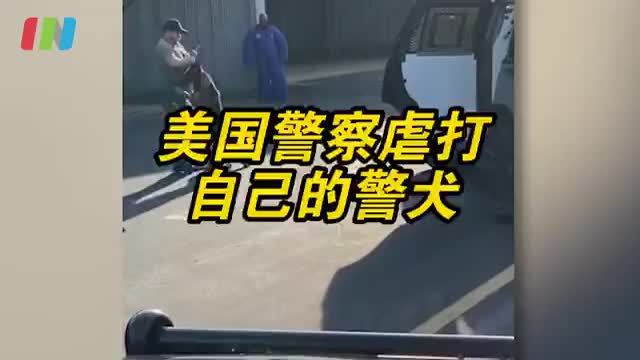 美国警察吊勒自己的警犬
