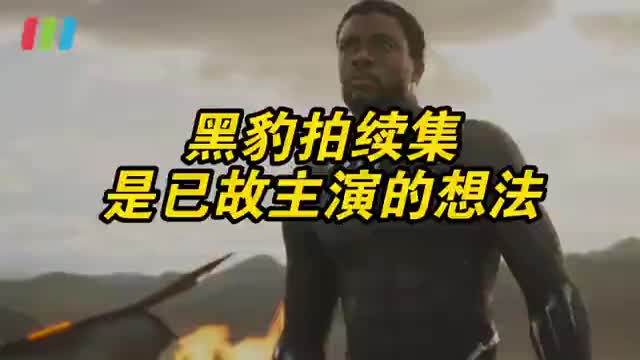 黑豹拍续集，导演称拍黑豹续集是已故主演的想法