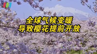 日本记录1200年来樱花最早开放期