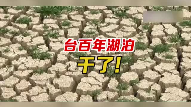 台百年湖泊干了