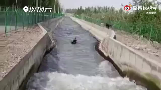 少年坠河 他奋不顾身跳河施救