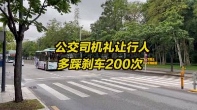 礼让行人成习惯 深圳公交司机每天多踩刹车200次