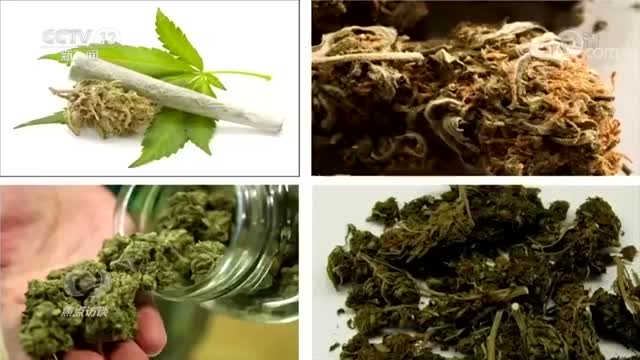 央视曝光：这种电子烟比大麻更易上瘾！