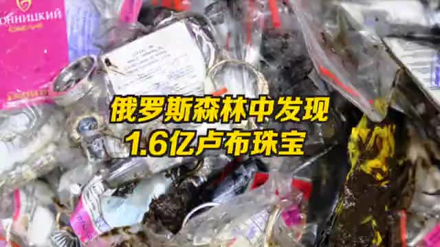俄罗斯森林中发现1.6亿卢布珠宝，2018年世界杯期间被盗后掩埋至今