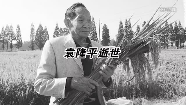重温袁老音容笑貌
