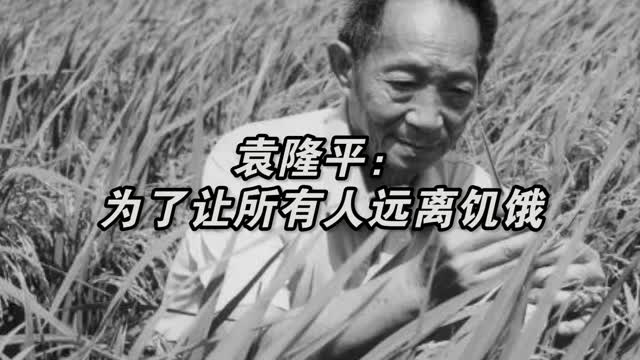 中国人的饭碗要牢牢掌握到自己手上去