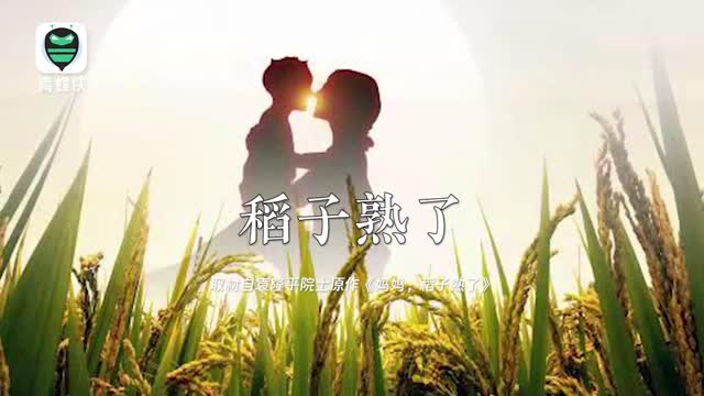 袁隆平：稻子熟了，妈妈，我来看您了