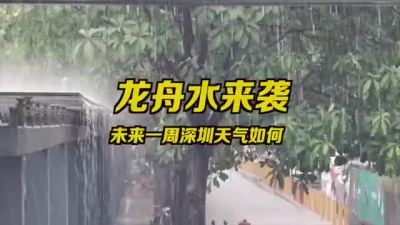 深圳龙舟水来袭：深圳开启降雨模式