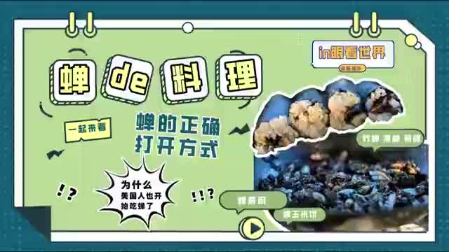 in眼看世界｜舌尖上的17年蝉