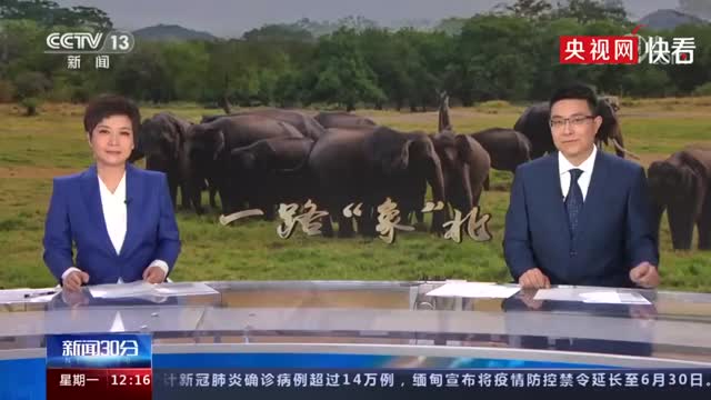 云南野象群距离昆明70多公里