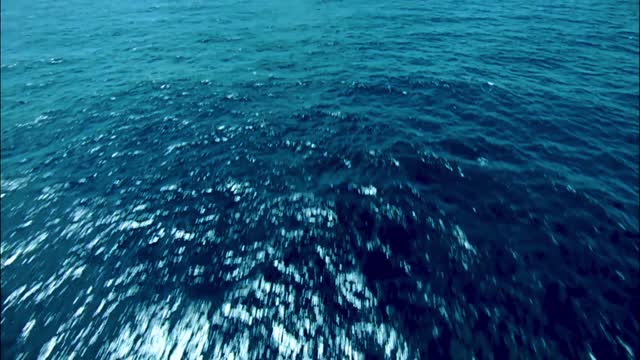 视频 |《走向深蓝》海洋专题片第四集
