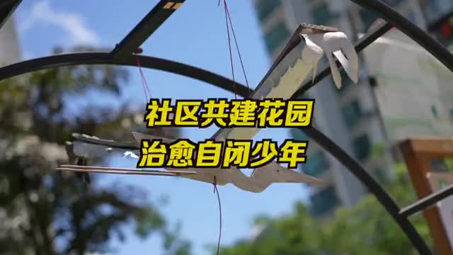深圳共建花园治愈自闭少年