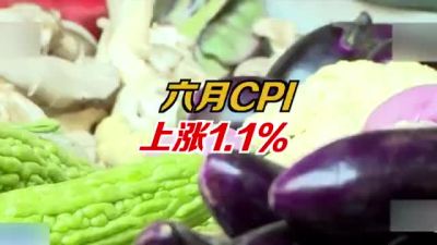 6月CPI数据上涨1.1%