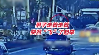 上海男子走着走着突然飞了起来，摔进绿化意外身亡